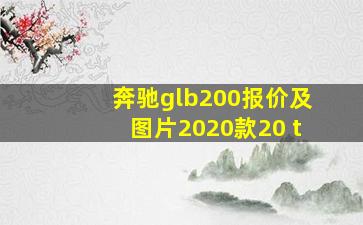 奔驰glb200报价及图片2020款20 t